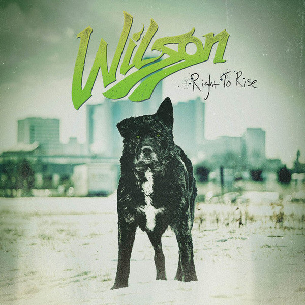 Wilson (27) : Right To Rise (CD, Album, Car)