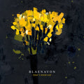 Blaenavon : That's Your Lot (CD, Album)