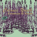 Colonic Youth : Fountain Of Youth (CD, Album)