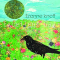 Lizanne Knott : Excellent Day (CD, Album)