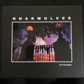 Gnarwolves : Outsiders (CD, Album)