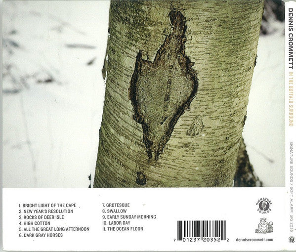 Dennis Crommett : In the Buffalo Surround (CD, Album)