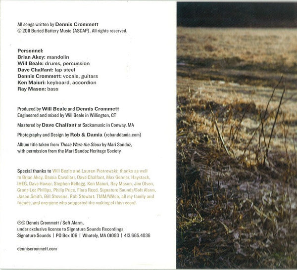 Dennis Crommett : In the Buffalo Surround (CD, Album)