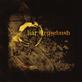 Liar's Rosebush : Circle The Squares (CD, Album)