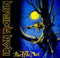 Iron Maiden : Fear Of The Dark (2xLP, Album, RE, RM, 180)