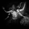 Nephilim's Howl : Through The Marrow Of Human Suffering (CD, Album)