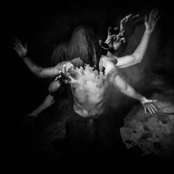 Nephilim's Howl : Through The Marrow Of Human Suffering (CD, Album)