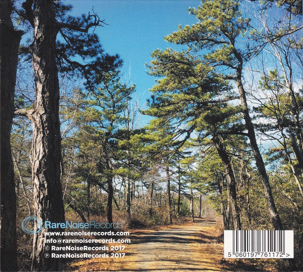 Bill Brovold & Jamie Saft : Serenity Knolls (CD, Album)