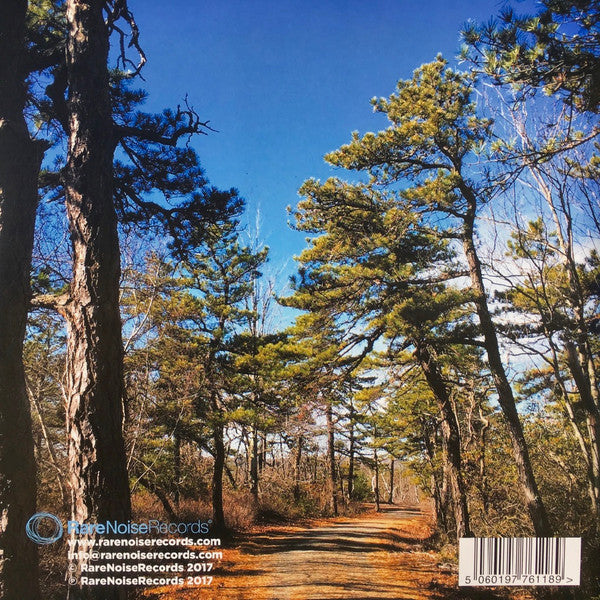 Bill Brovold & Jamie Saft : Serenity Knolls (2xLP, Album)