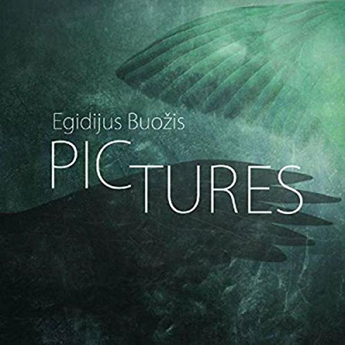 Egidijus Buožis : Pictures (CD, Album, Dig)
