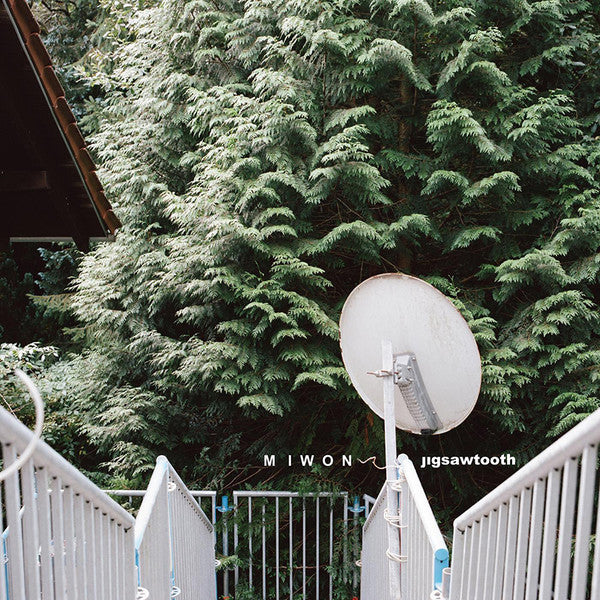 Miwon : Jigsawtooth (CD, Album)