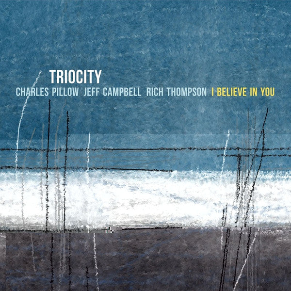 Triocity, Charles Pillow, Jeff Campbell (4), Rich Thompson : I Believe In You (CD, Album)