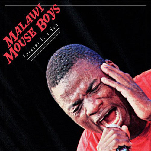 Malawi Mouse Boys : Forever is 4 You (CD, Album)