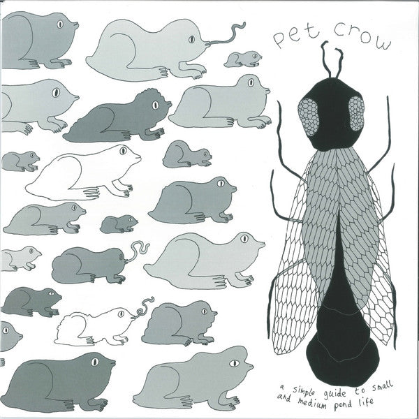 Pet Crow : A Simple Guide to Small and Medium Pond Life (LP, Album, Blu)