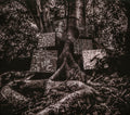 Kamasi Washington : Harmony Of Difference (CD, EP)
