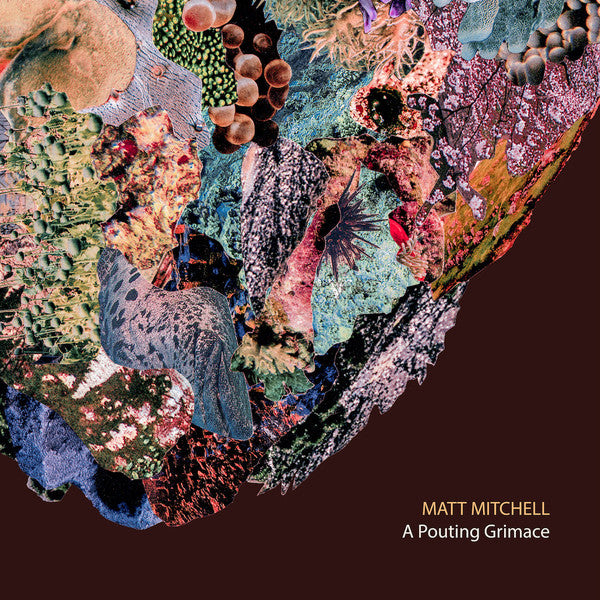 Matt Mitchell (6) : A Pouting Grimace (CD, Album)