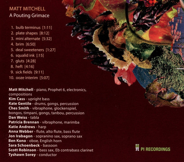 Matt Mitchell (6) : A Pouting Grimace (CD, Album)