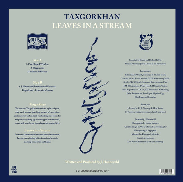 Taxgorkhan : Leaves In A Stream (LP, Album, Ltd)