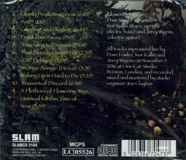 Glowering Figs : Glowering Figs (CD, Album)