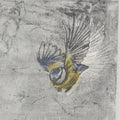 Mésange : Heliotrope (LP, Album)