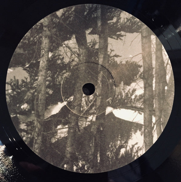 DJ Richard (5) : Path Of Ruin (12")