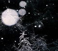 Over The Voids... : Over the Voids (CD, Album)