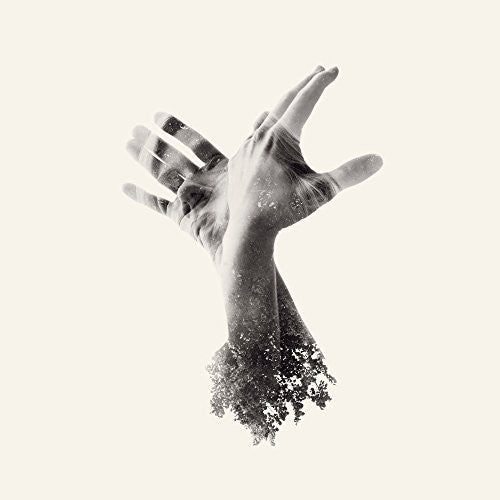 The Last Dinosaur : The Nothing (CD, Album)