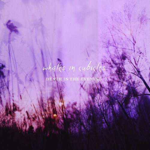 Whales In Cubicles : Death In The Evening (LP)