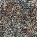 Evil Warriors : Fall From Reality (CD, Album)