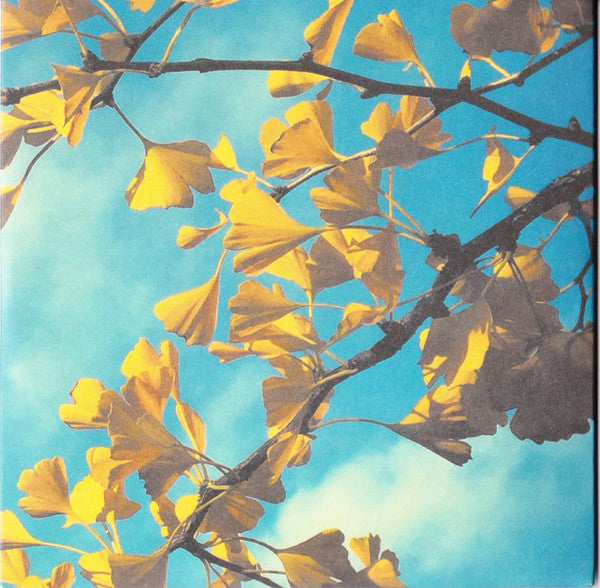 RM Hubbert : Telling The Trees (CD)