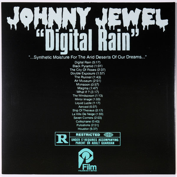Johnny Jewel : Digital Rain (LP, Album, Ltd, Pin)