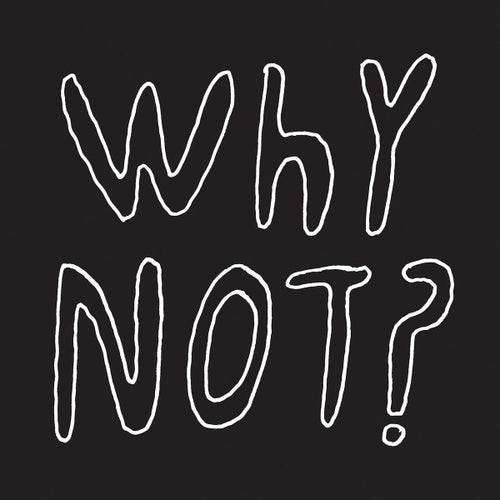 1/2 Japanese : Why Not? (LP, Album)