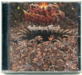 Grace Disgraced : Enthrallment Traced (CD, Album)