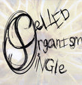 Single Celled Organism : Splinter In The Eye (CD, Album)