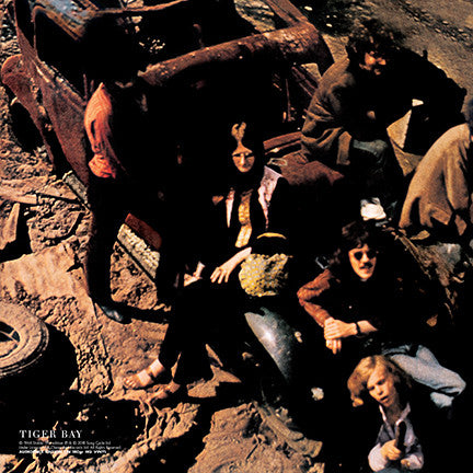 The Deviants (2) : Disposable (LP, Album, RE, 180)