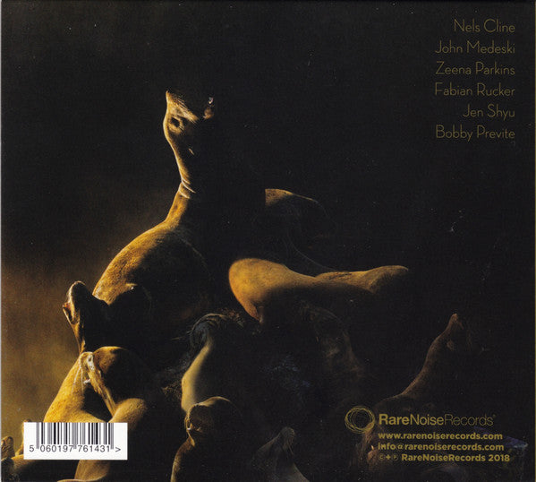 Bobby Previte : Rhapsody (CD, Album)
