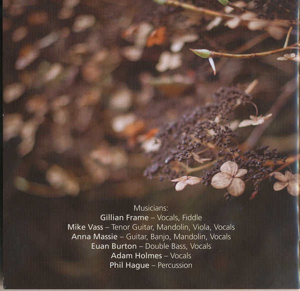 Gillian Frame : Pendulum (CD, Album)