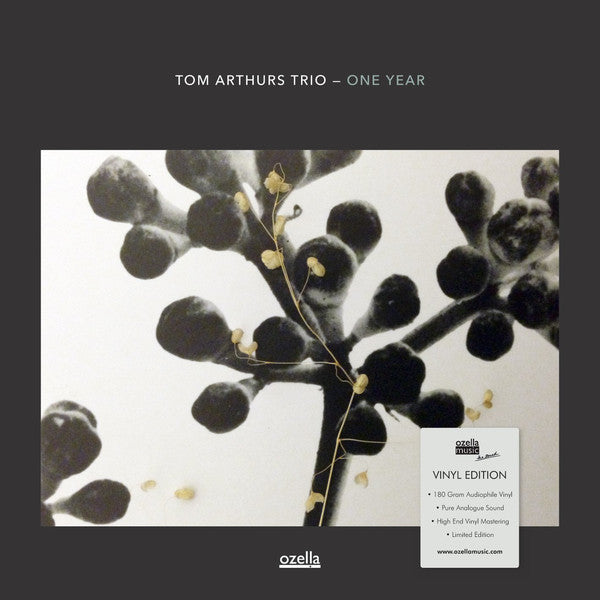 Tom Arthurs Trio : One Year (LP, Album, Ltd)