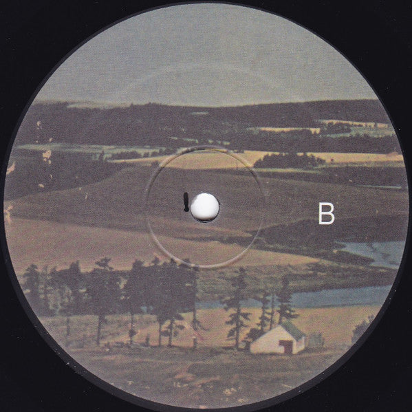 Brother JT : Tornado Juice (LP, Album)
