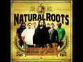 Natural Roots (4) : Words Of  Jah (CD, Album)