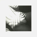 V (42) : Numéros (12")