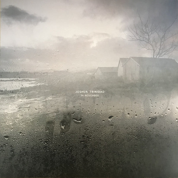 Joshua Trinidad : In November (LP, Album)