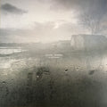 Joshua Trinidad : In November (LP, Album)