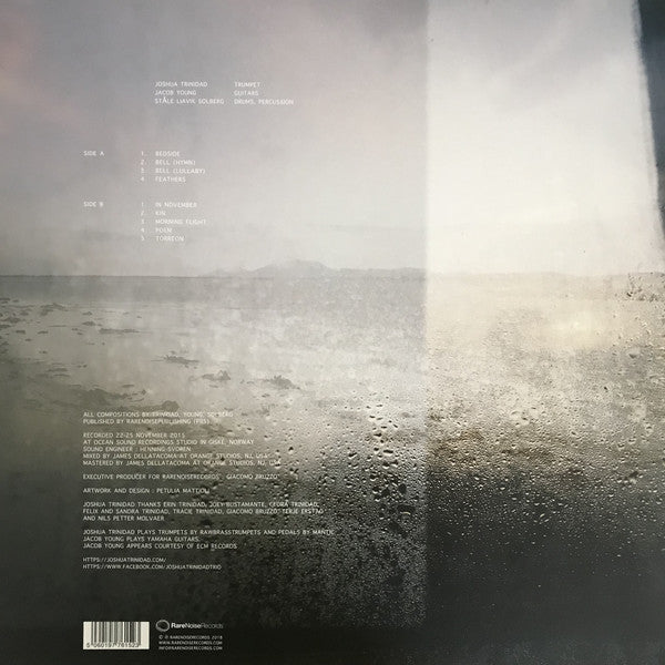 Joshua Trinidad : In November (LP, Album)