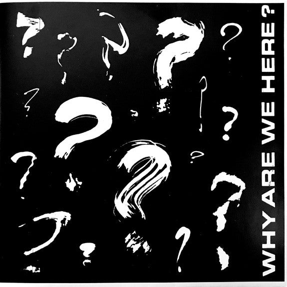Various : Why Are We Here ? (7", EP, Comp, Ltd, RE, RM, 35t)