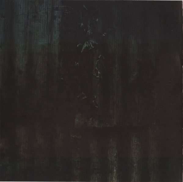 Conjonctive : In The Mouth Of The Devil (CD, Album)