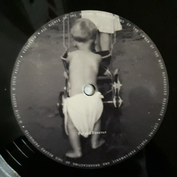 The Pineapple Thief : Abducted At Birth (2xLP, Album, RE, RM)