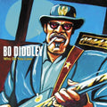 Bo Diddley : Who Do You Love (CD, Comp)