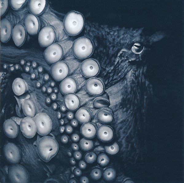 Skein (3) : Deadweight (CD, Album)