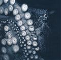 Skein (3) : Deadweight (CD, Album)